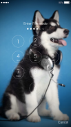 Siberian Husky Lock Screen screenshot 4
