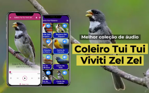 Coleiro Tui Tui Viviti Zel Zel screenshot 3