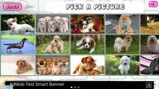 Puzzles of Puppies Free screenshot 3
