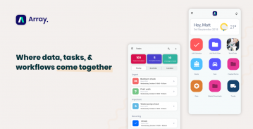 Array Forms screenshot 9