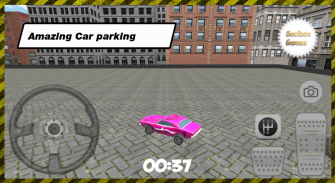 शहर गुलाबी कार पार्किंग screenshot 8