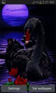 Black Swan Live Wallpaper screenshot 0