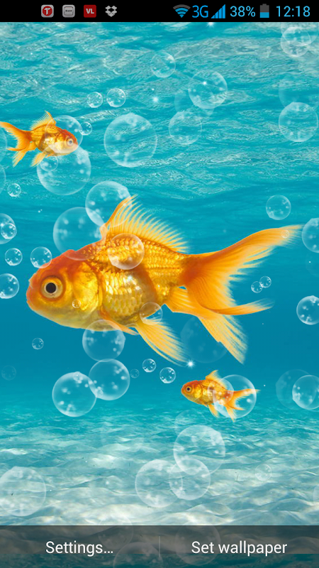 Золотые рыбки Живые Обои - Загрузить APK для Android | Aptoide