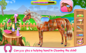 Horse Care and Riding screenshot 4