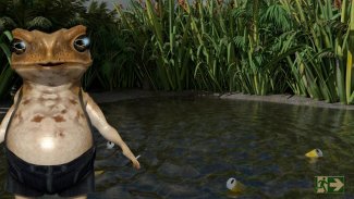 Rude Toads! screenshot 4
