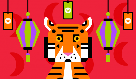 The Year of the Tiger image