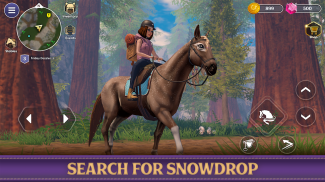 Star Equestrian - Horse Ranch screenshot 10