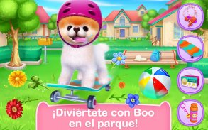 Boo – El Perro Más Lindo screenshot 3