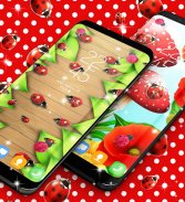 Ladybug live wallpaper screenshot 6