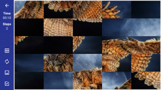 Tile Puzzle: beautiful birds screenshot 4