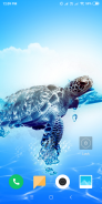 Turtle Wallpaper screenshot 14