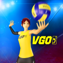 Volleyball: VolleyGo