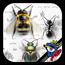 Insect Race icon