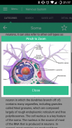 Nervous System Reference Guide screenshot 5