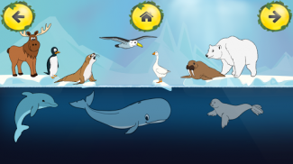 Animal Sounds Learn-Find Game screenshot 7