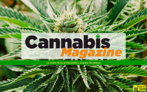 Cannabis Magazine screenshot 8