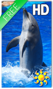 Animal Dolphin Live Wallpaper screenshot 0