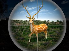 Deer Hunting Games Wild Animal screenshot 1