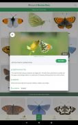 iRecord Butterflies screenshot 6