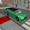 Modern Limousine City Driver