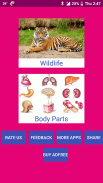 Learn Marathi Wildlife and Body Parts Names screenshot 10