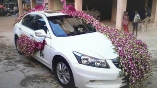 Decoração do carro de casamento screenshot 2