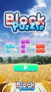 Block Puzzle - Endless Test screenshot 1