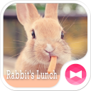 Wallpaper, ikon　Rabbit's Lunch