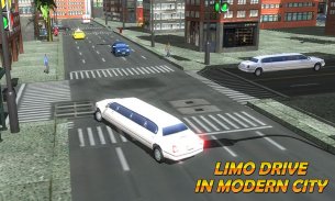 Limo Car Driving simulator 3D screenshot 0