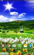 Spring Nature Live Wallpaper screenshot 9