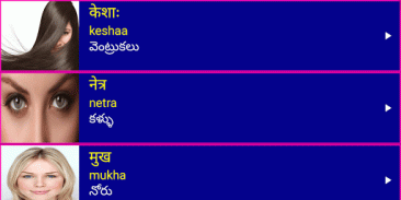 Learn Sanskrit From Telugu screenshot 13