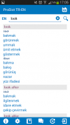 Turkish - English dictionary screenshot 2