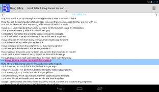 Hindi Bible Plus screenshot 9