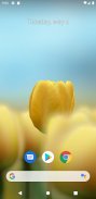 3D Tulip Live Wallpaper screenshot 2