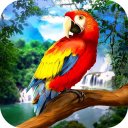 Wild Parrot Survival - Dschungelvogelsimulator! Icon