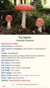 Shroomify - UK Mushroom ID screenshot 10