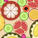 Fruit Merge : Drop the Number