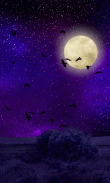 Moonlight HD Wallpapers-Moon Wallpaper Background screenshot 3