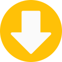 Max Downloader Icon