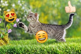 Emoji Photo Sticker Maker Pro screenshot 0