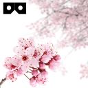 CherryBlossom VR for Cardboard