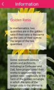 Golden Ratio in art and images screenshot 8