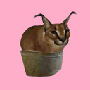 floppa.png Icon