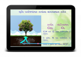 Animated Biology GSEB 12-2-3 screenshot 6