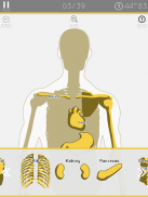 E. Learning Anatomy puzzle screenshot 0