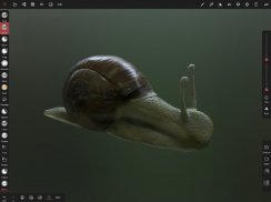 Nomad Sculpt - 3D雕刻建模 screenshot 9