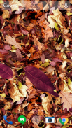 Folhas do outono 3D screenshot 1