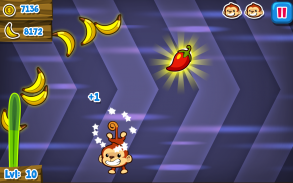 Super Monkey screenshot 4