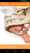 Sobotta Anatomy Atlas screenshot 11