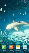 أسماك القرش خلفيات حية screenshot 5